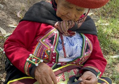 Lectura de Hoja de Coca